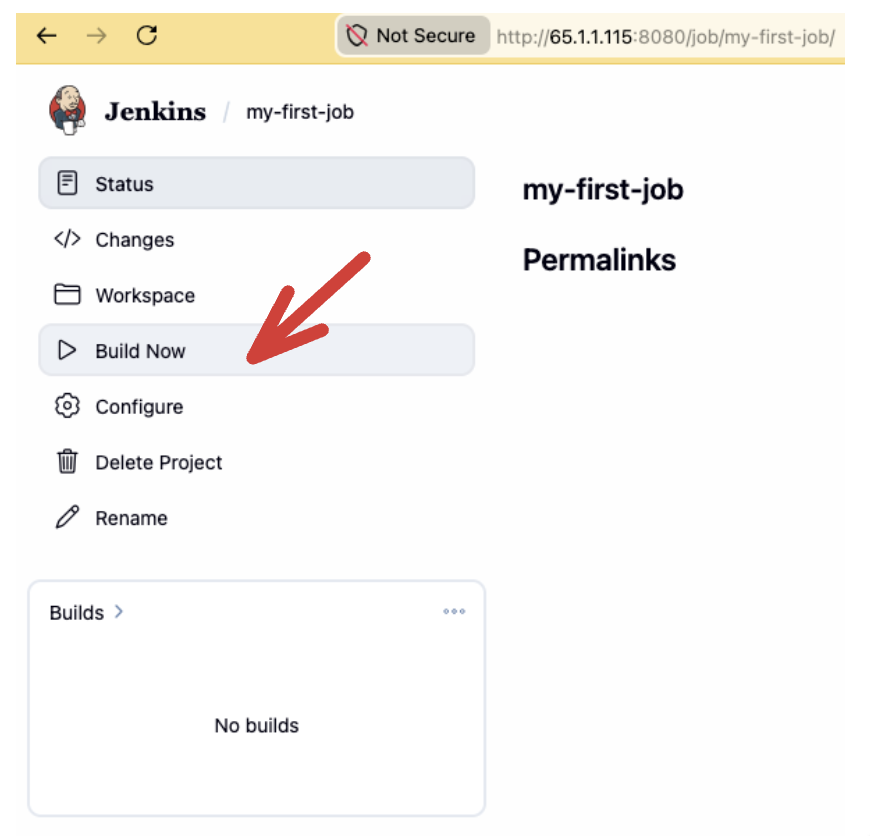 Build Now from the job page