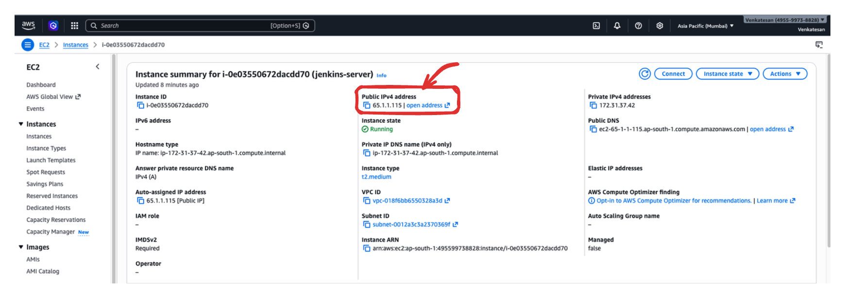 Copy the EC2 public IP for the Jenkins browser URL