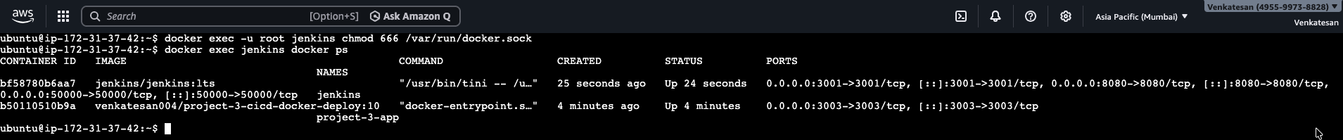 docker ps from inside Jenkins after mounting the host socket
