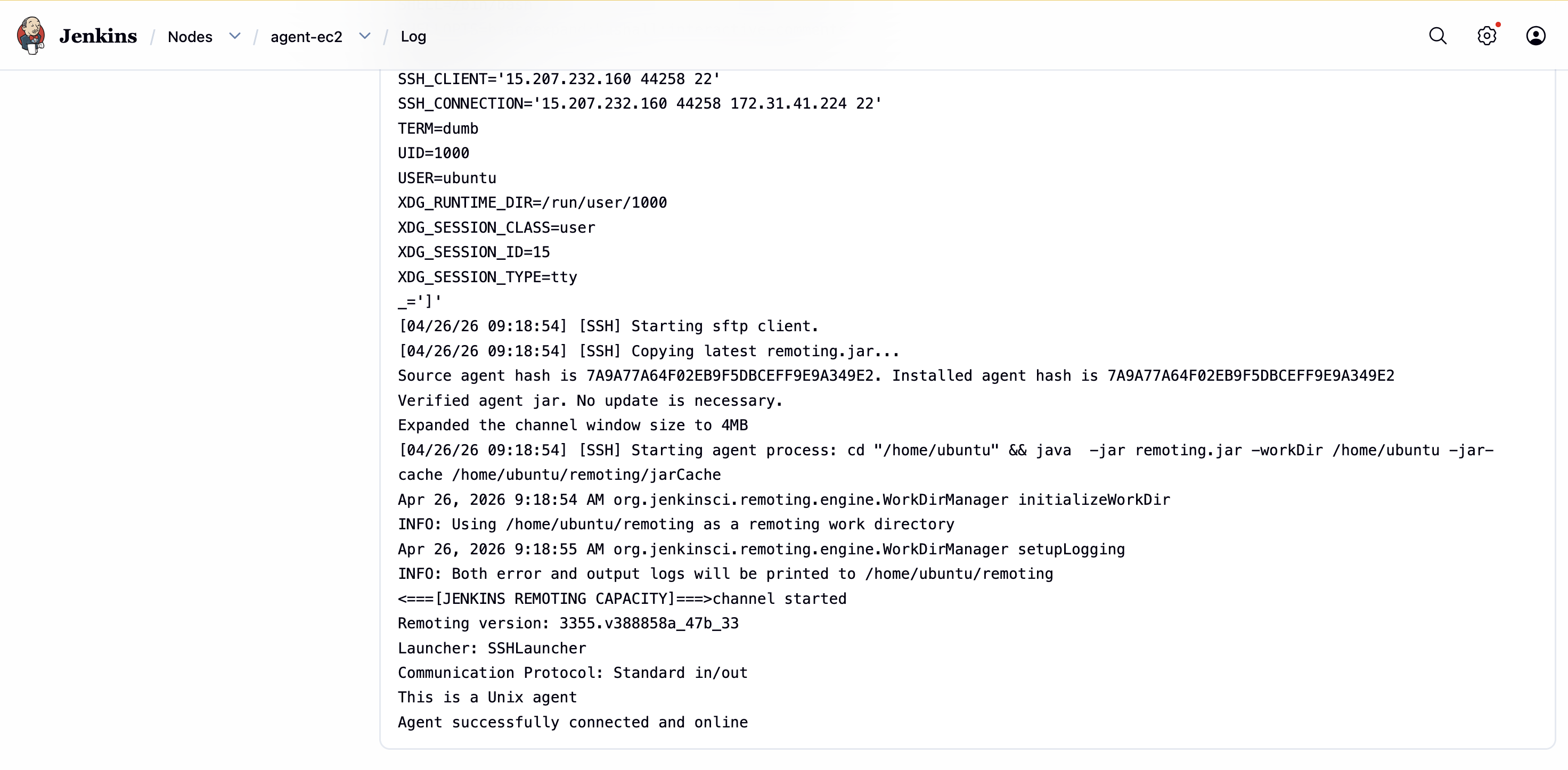 Agent node online in Manage Jenkins → Nodes